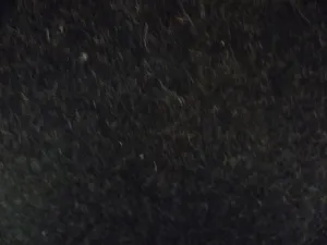 100% Wool ( NEW ) Charcoal Gray